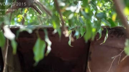 试管移植成功与自然怀孕，有何异同？