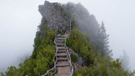 了解人工受孕过程及所需时间